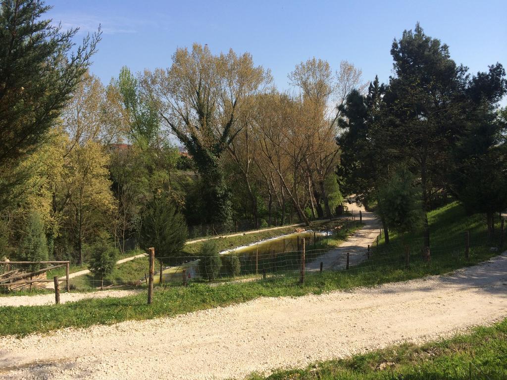 Hotel D.G. Garden Benevento Luaran gambar